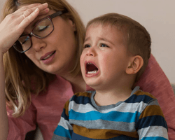 Мама жахнулась, побачивши, що саме приніс в роті її син з дитячого садка (фото)