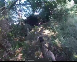 Россияне замучили и повесили собственных солдат: бойцы ВСУ показали видео