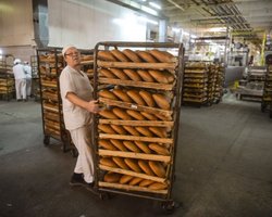 Экспорт пшеницы растет, но украинцам хлеба хватит, - Минэкономики