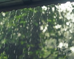 Вже завтра вдарить похолодання: синоптикиня назвала області, де температура впаде до +17