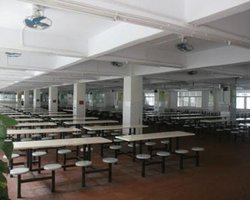 СЭС забраковала каждый четвертый лагерь