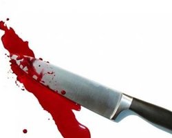 Британская студентка пыталась убить депутата из-за войны в Ираке 