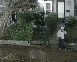 У ФБР показали, як напередодні штурму Капітолію розміщували вибухівку (відео)