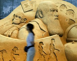 "Антимавпячі закони" та ментальні стрибки: як ідеї Чарлза Дарвіна розбурхують уми в XXI столітті