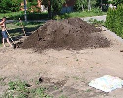 Торт для журналистов съели строители из Межигорья