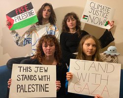 В Израиле на государственном уровне "отменили" Грету Тунберг: что произошло