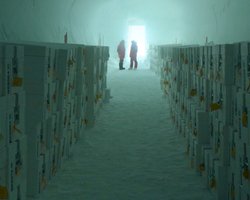 В Антарктиде открыт первый в мире ледяной "банк": в ячейках хранятся древние сокровища (видео)