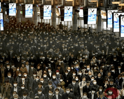 Экономика Японии обвалилась на рекордные 27,8% за квартал – впервые с 1955 года