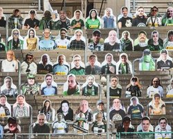 Не раньше сентября: Степанов рассказал, когда болельщики смогут вернуться на трибуны