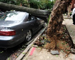 На столицу Аргентины обрушился мощный шторм: 14 погибших