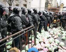 Акция протеста в Киеве: Администрацию президента забросали плюшевыми свиньями