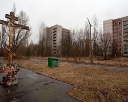 В зоне отчуждения ЧАЭС хотят выращивать сырье для биогаза