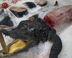 Самый крупный в Украине оптовый рынок откроют 1 июля