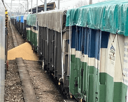 На годовщину вторжения: в Польше снова высыпали украинскую агропродукцию (фото)