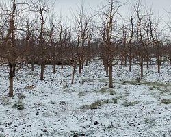 Масований обстріл України: на території Молдови впала ракета С-300 (фото)