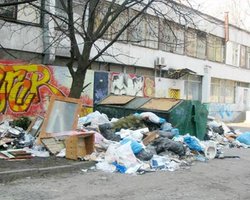 В мире ежегодно выбрасывают 1,3 млрд. тонн еды 