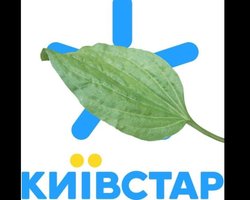 Азбука Морзе і поштові голуби: мережі вибухнули мемами щодо ситуації з Київстаром (фото)