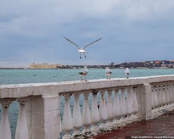 Обстрел пляжа в Севастополе: эксперты озвучили, чья ракета убила людей (фото)