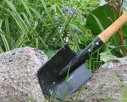 Участники митинга под Верховной Радой подарят Азарову лопату