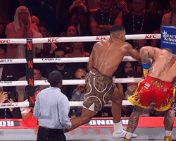 Результат бою Джошуа — Пол: поєдинок тривав шість раундів і закінчився нокаутом (відео)