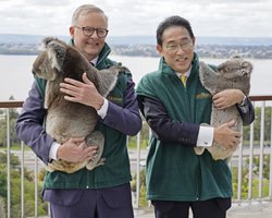 Токио и Канберра против Пекина? Чего ждать от союза Японии и Австралии