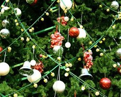 На Контрактовой площади в Киеве устанавливают новогоднюю елку