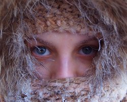 Министерство образования разрешило свободное посещение школ в морозы