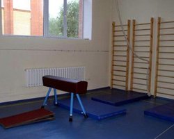 В Черновицкой области на уроке физкультуры умер восьмиклассник