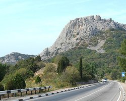 Янукович и Азаров проведут отпуск в Крыму