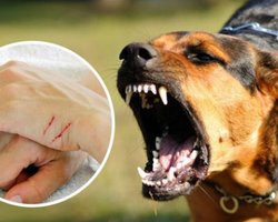 В Салтовском районе Харькова ввели карантин: в чем причина