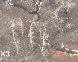 Під Торецьком двоє бійців ЗСУ взяли в полон п'ятьох росіян, які прийшли їх штурмувати (відео)