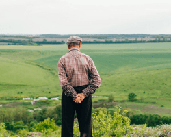 Цена земли в Украине: где в стране самые дорогие участки