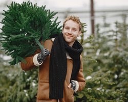 Навіщо ялинці віагра: німець поділився новорічним лайфхаком