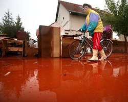 Яд из Венгрии может попасть в Украину послезавтра