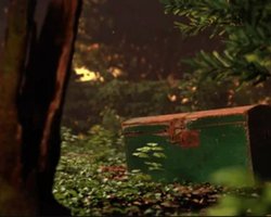 Женщина наткнулась на сокровище, пролежавшее в земле почти 900 лет