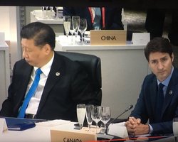 Обговорювали Україну: лідер КНР звинуватив прем'єра Канади в зливі кулуарної розмови ЗМІ на G20 (відео)