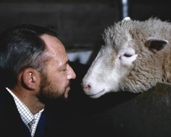 Овечці Доллі — 25 років. Тепер генні інженери починають "редагувати" дітей
