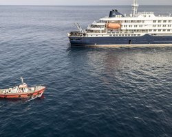 Можно вылечиться: в Украине другие хантавирусы, чем на лайнере, — ЦОЗ