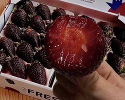Темно-фиолетовая клубника становится трендом в мире: люди платят 45 долларов, чтобы ее попробовать (фото)