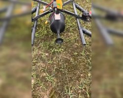 Тяжелые, но неуязвимые: на Курщине РФ атакует дронами на оптоволокне, защищенными от РЭБ (видео)