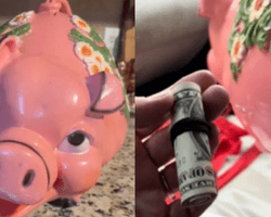 Женщина купила копилку в секонд-хенде: внутри оказались тысячи долларов (видео)