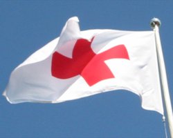 США обвиняют власти Сирии в помехах Красному Кресту