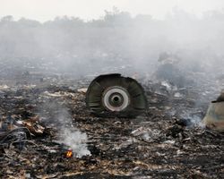 Нидерланды определили вероятных виновников крушения МН-17