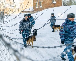 Заложники империи. Сколько еще украинцев остается в российских тюрьмах