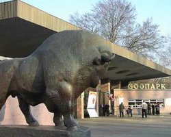 В Киевском зоопарке снова умерло животное