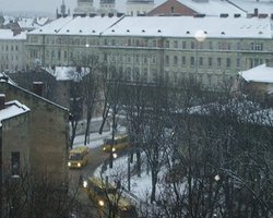 Львовский облсовет поставил Януковичу двойку за первый год