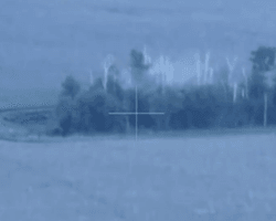 Лесополоса не спрятала: на Харьковщине пограничники уничтожили позицию оккупантов (видео)