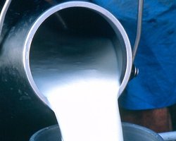 В России назвали причины запрета на ввоз украинского мяса и молока