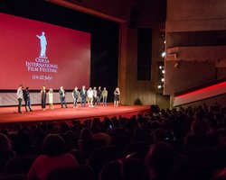 Человек под микроскопом. Уровень черного по-украински и закат Европы по-бельгийски