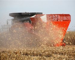 Из-за проблем на Кипре крупный украинский агрохолдинг задержал выплаты долгов. Акции компании рухнули на 30%